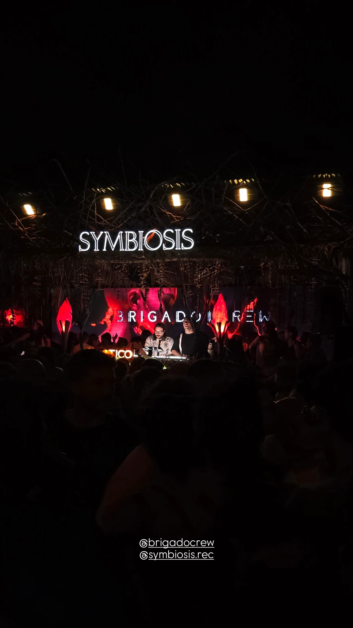 Show en vivo
